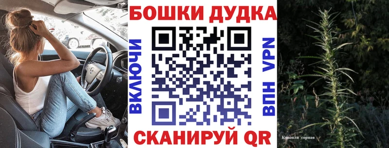Шишки марихуана Amnesia  магазин продажи   Тула 